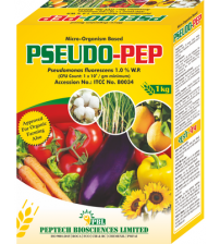 Pseudo - PEP (Pseudomonas Fluorescens) 1 KG